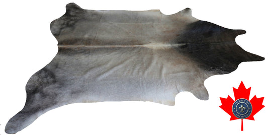 98970- Cowhide Rug Tapis Peau de Vache -BIG SIZE XL Collection Quebecuir Premium