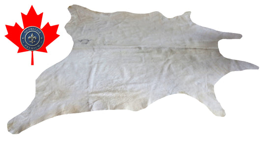 98972- Cowhide Rug Tapis Peau de Vache -BIG SIZE XL Collection Quebecuir Premium