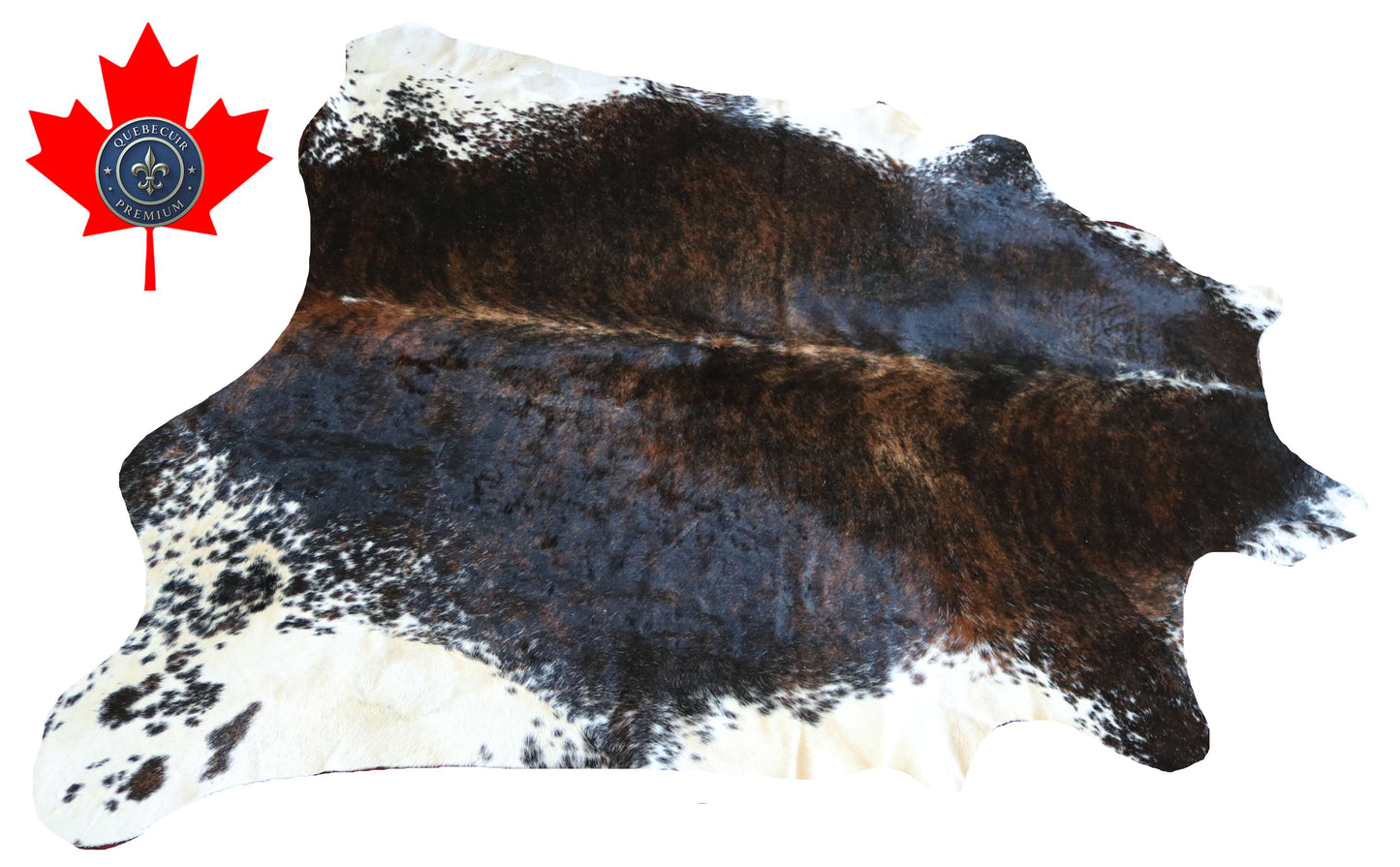 100272 -TRICOLOR  Cowhide Rug - Quebecuir Premium Collection