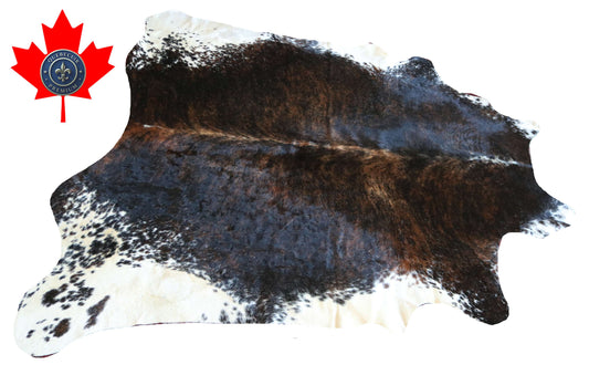 100272 -TRICOLOR  Cowhide Rug - Quebecuir Premium Collection