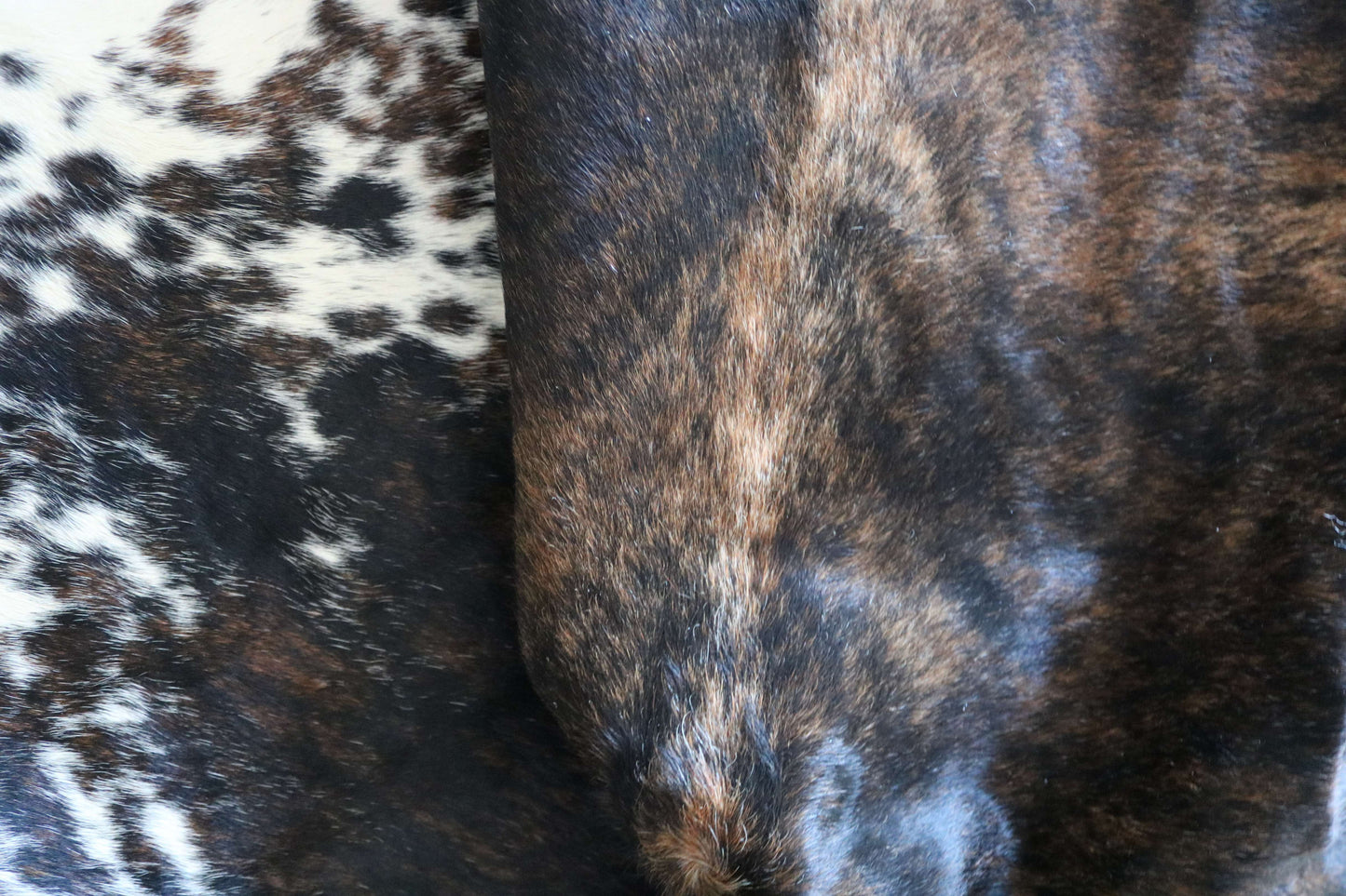100272 -TRICOLOR  Cowhide Rug - Quebecuir Premium Collection