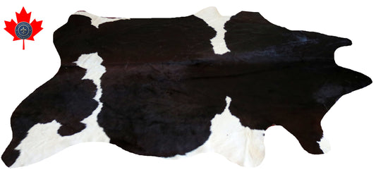 98975- Cowhide Rug Tapis Peau de Vache -BIG SIZE XL Collection Quebecuir Premium