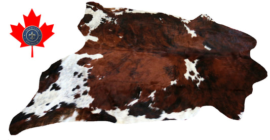 98978- Cowhide Rug Tapis Peau de Vache SUPER BIG SIZE XXXL - Collection Quebecuir Premium