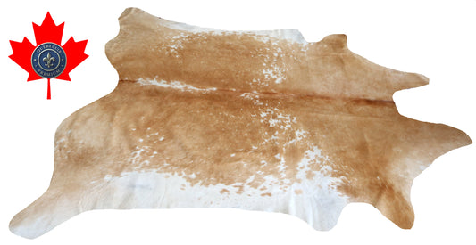 98980- Cowhide Rug Tapis Peau de Vache SUPER BIG SIZE XXXL - Collection Quebecuir Premium