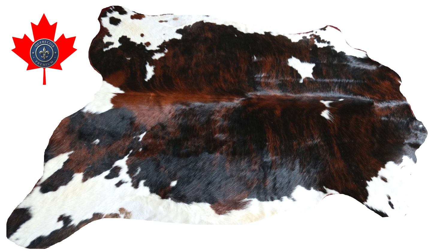 100273 -TRICOLOR  Cowhide Rug - Quebecuir Premium Collection