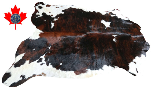100273 -TRICOLOR  Cowhide Rug - Quebecuir Premium Collection