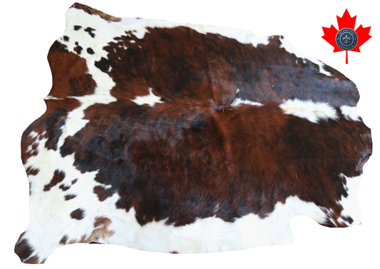 200636 -TRICOLOR  Cowhide Rug - Quebecuir Premium Collection