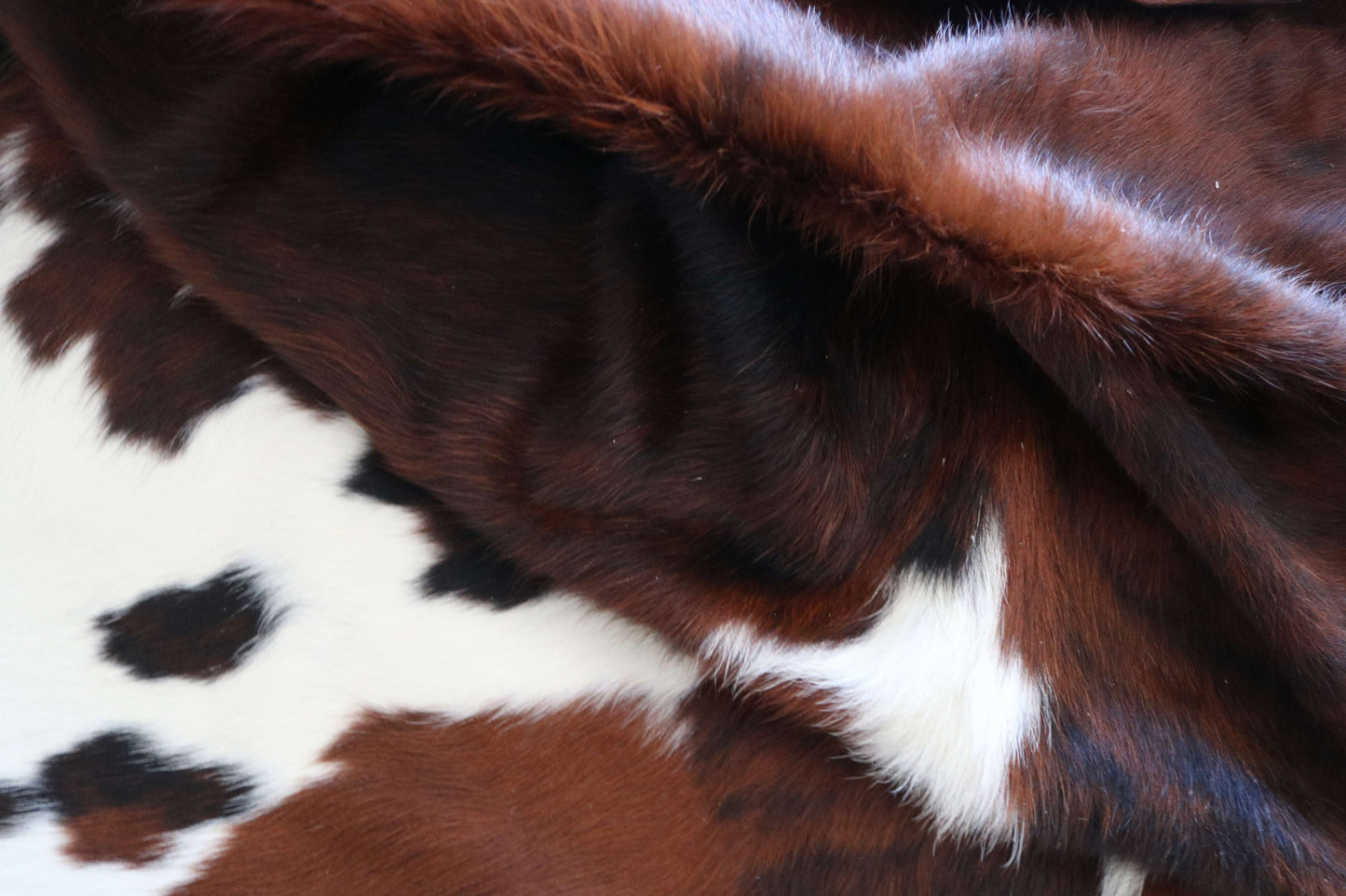 200636 -TRICOLOR  Cowhide Rug - Quebecuir Premium Collection