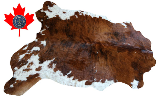 200637 -TRICOLOR  Cowhide Rug - Quebecuir Premium Collection
