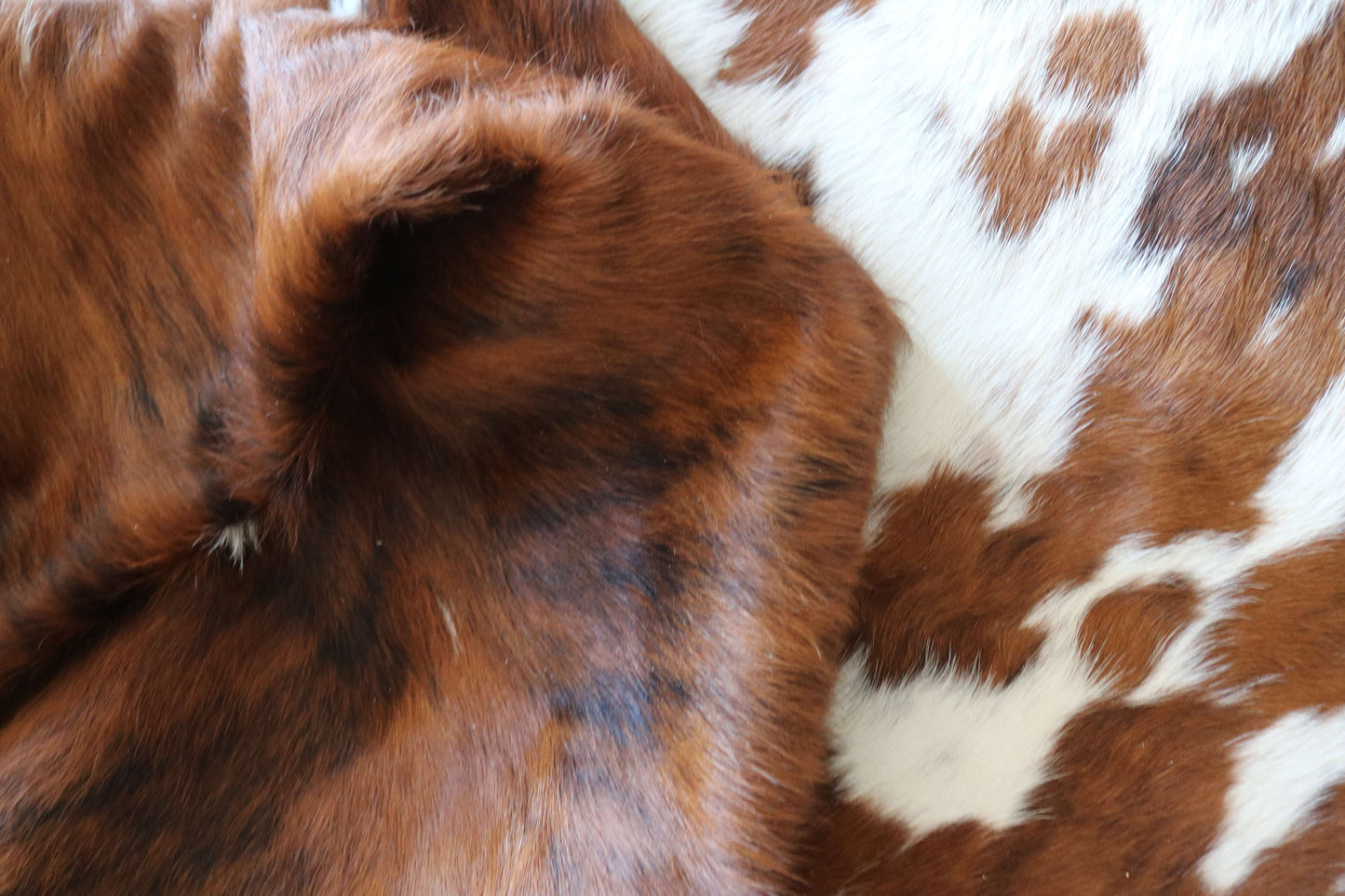 200637 -TRICOLOR  Cowhide Rug - Quebecuir Premium Collection