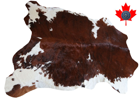 200638-TRICOLOR  Cowhide Rug - Quebecuir Premium Collection