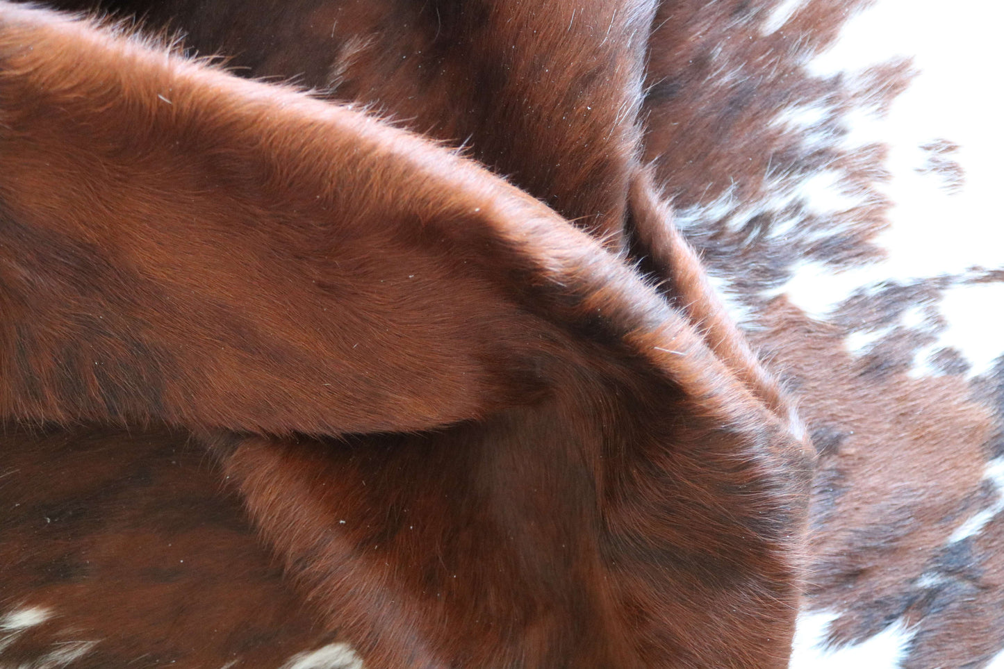 200638-TRICOLOR  Cowhide Rug - Quebecuir Premium Collection