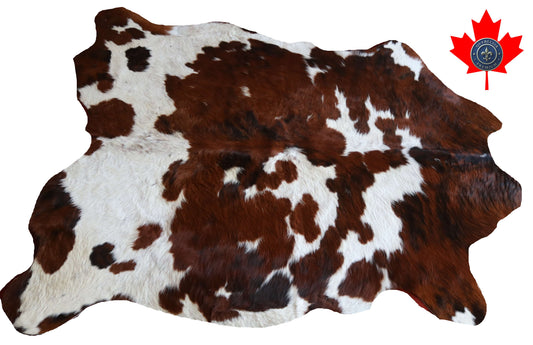 200639-TRICOLOR  Cowhide Rug - Quebecuir Premium Collection