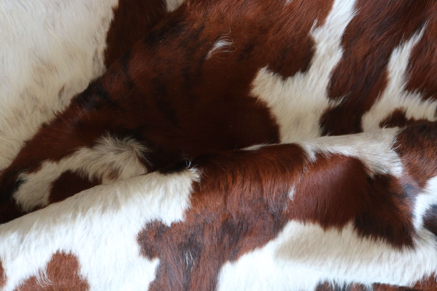 200639-TRICOLOR  Cowhide Rug - Quebecuir Premium Collection