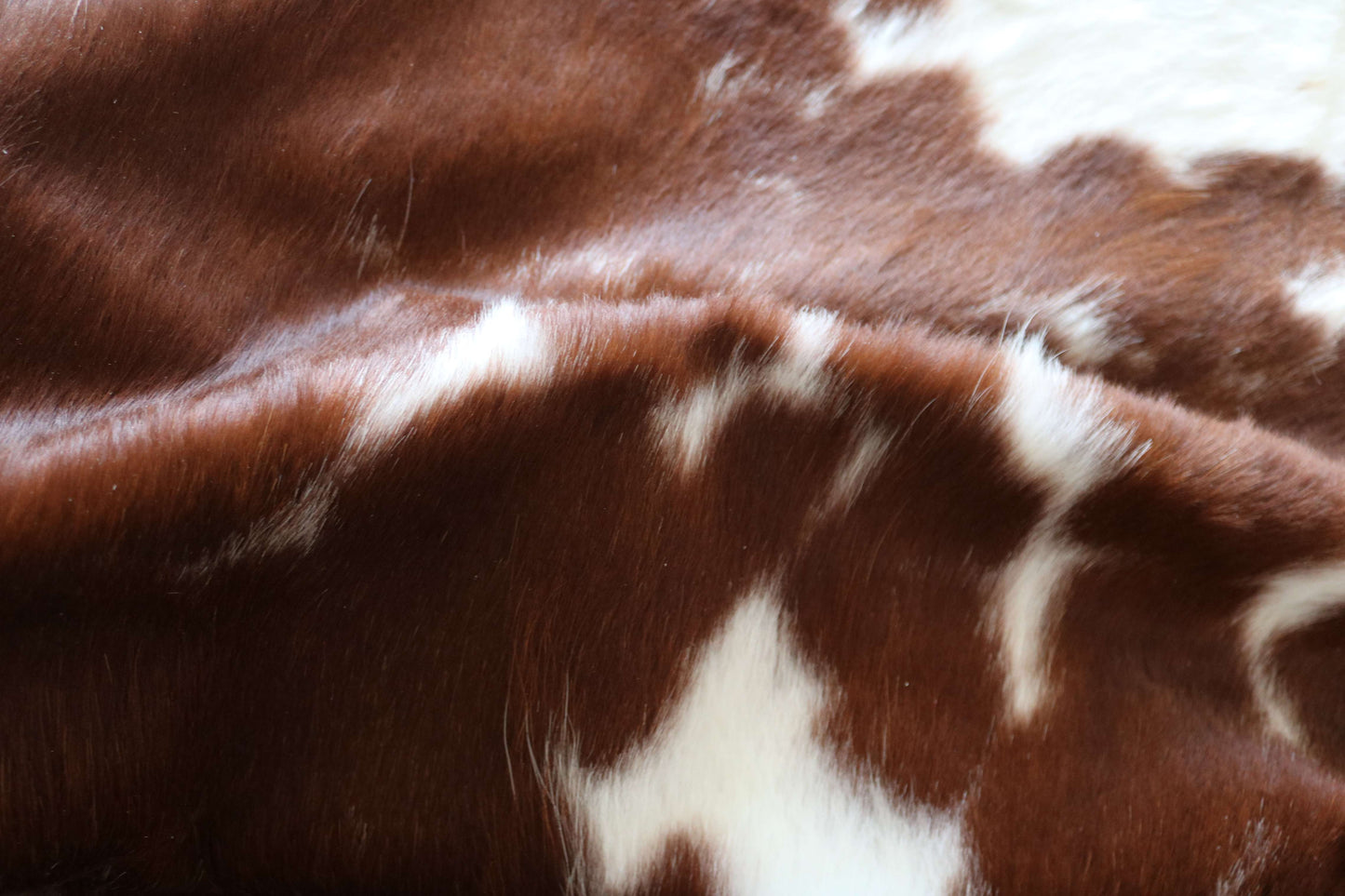 100274 -TRICOLOR  Cowhide Rug - Quebecuir Premium Collection