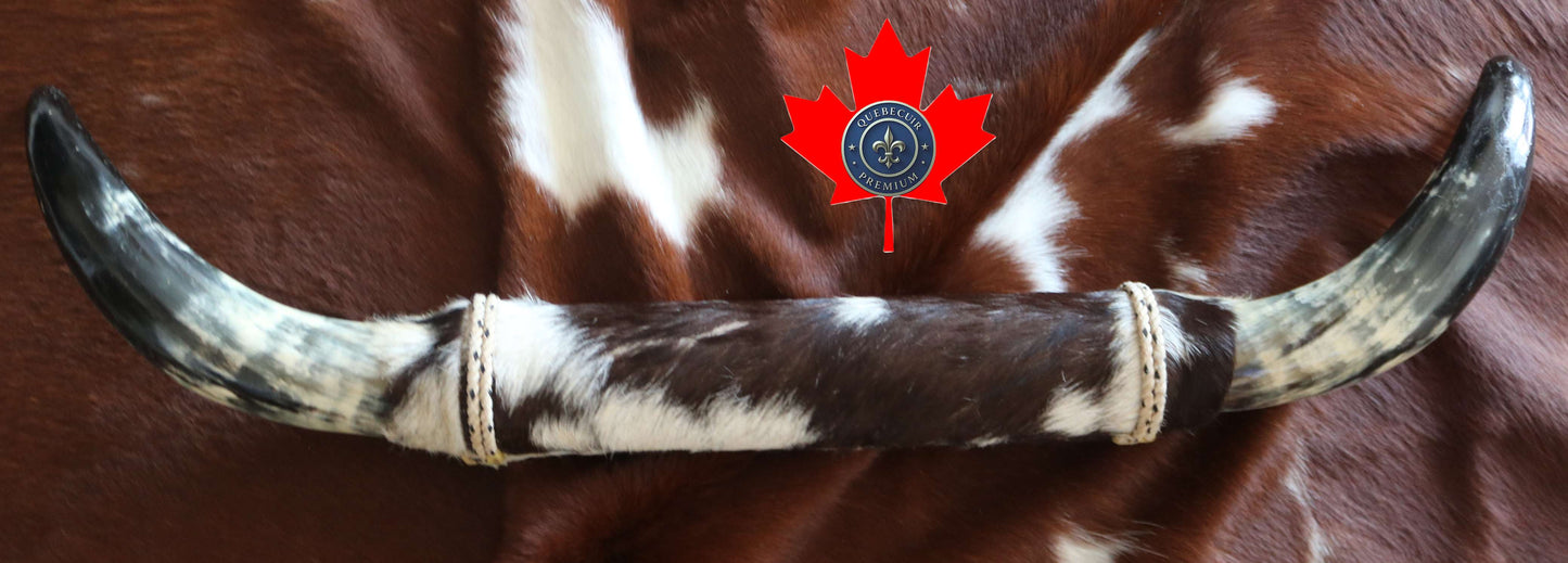 100275 Horns Cornes Collection Quebecuir Premium