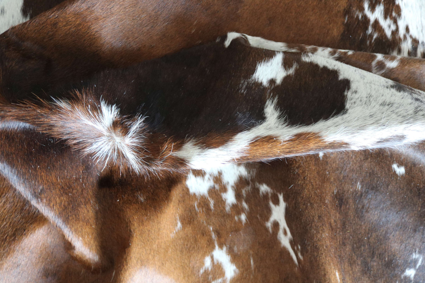 100276 -TRICOLOR  Cowhide Rug - Quebecuir Premium Collection
