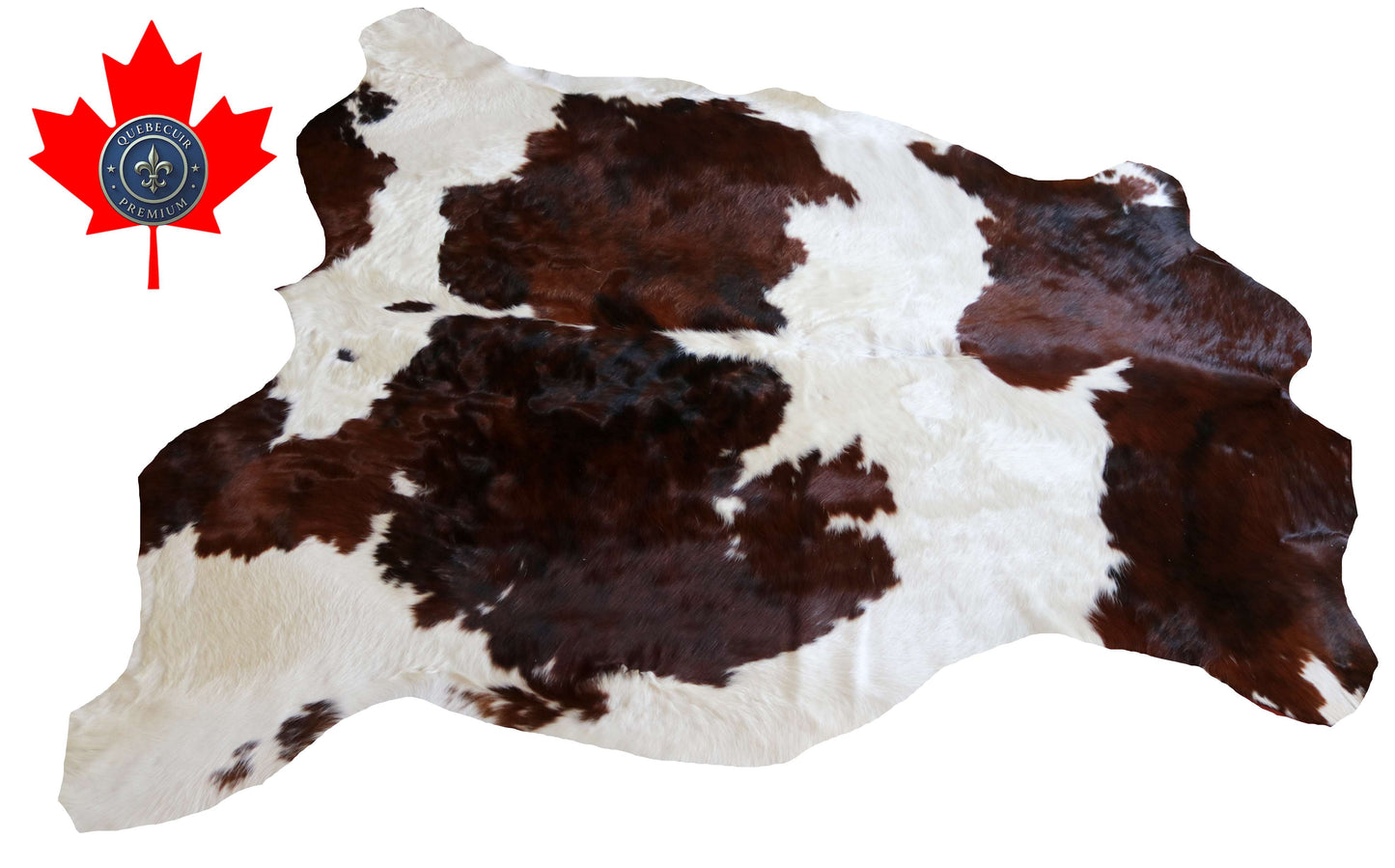 100277 -TRICOLOR  Cowhide Rug - Quebecuir Premium Collection