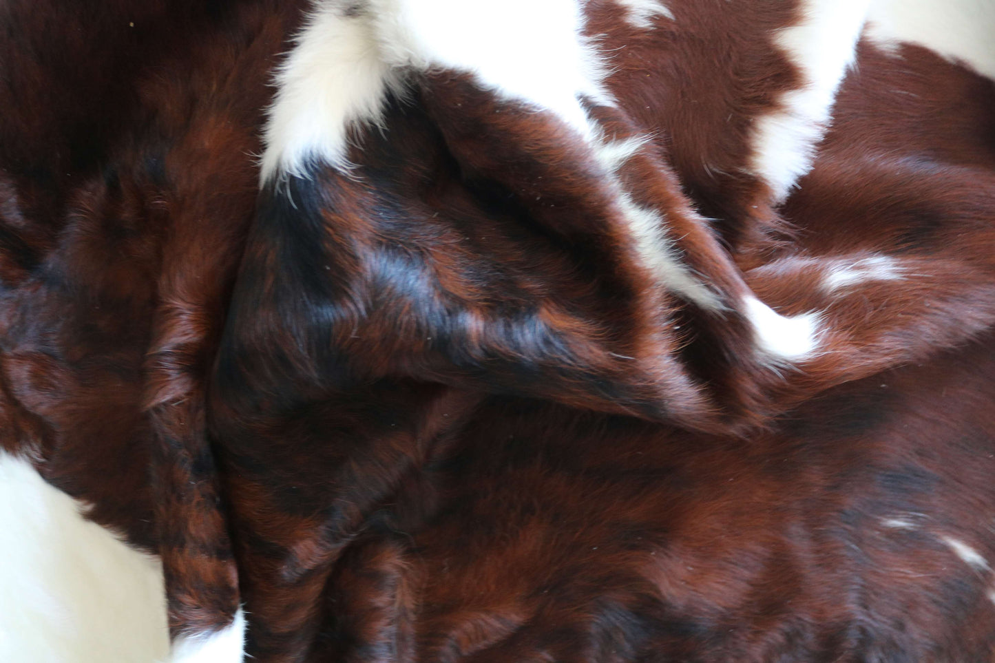 100277 -TRICOLOR  Cowhide Rug - Quebecuir Premium Collection