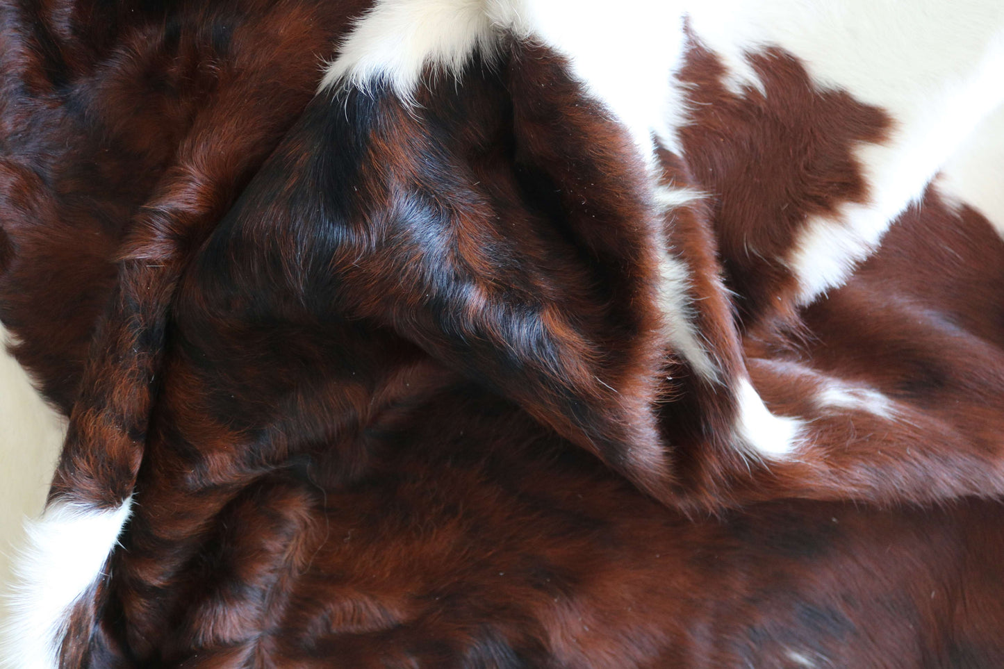 100277 -TRICOLOR  Cowhide Rug - Quebecuir Premium Collection