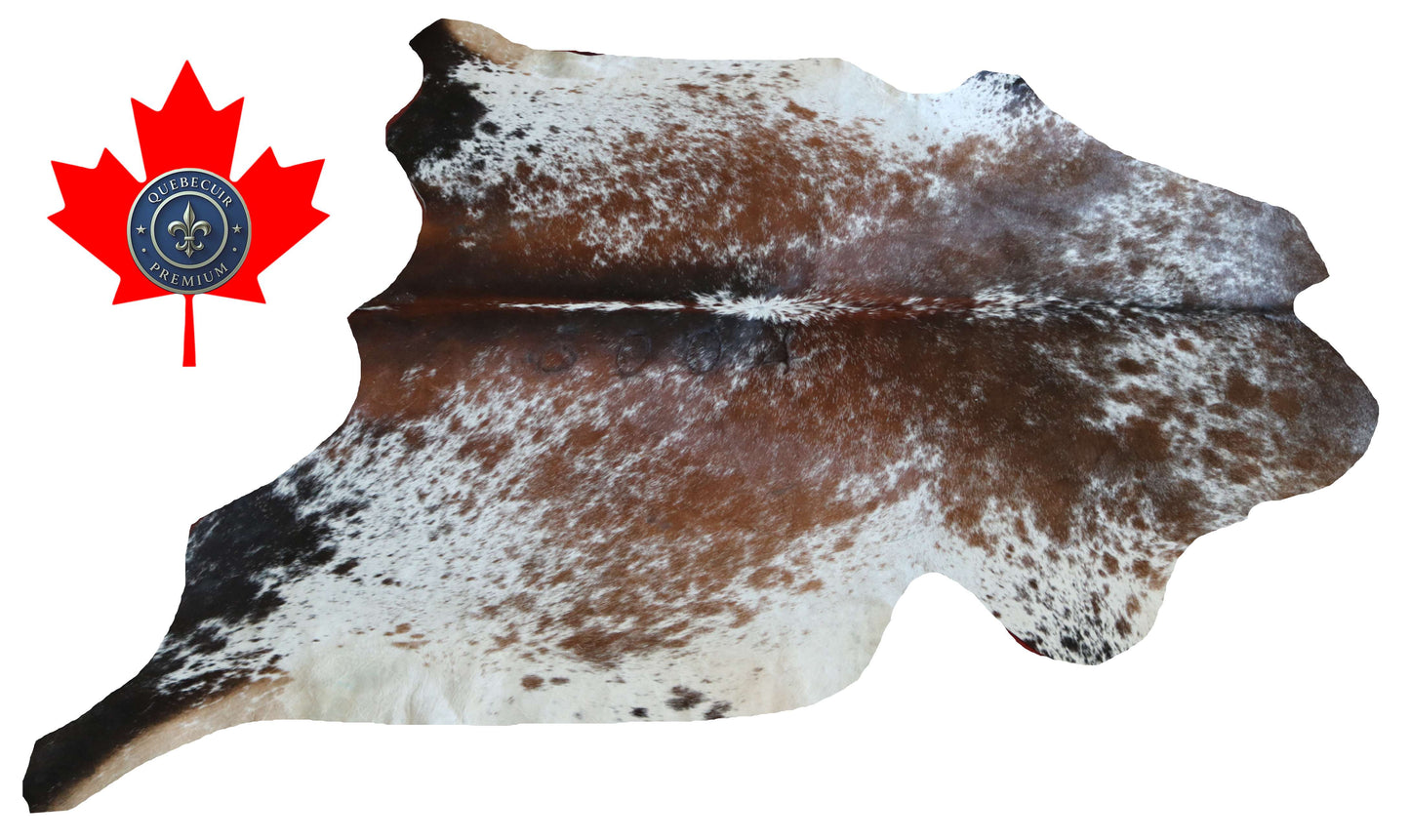 100278 -TRICOLOR  Cowhide Rug - Quebecuir Premium Collection