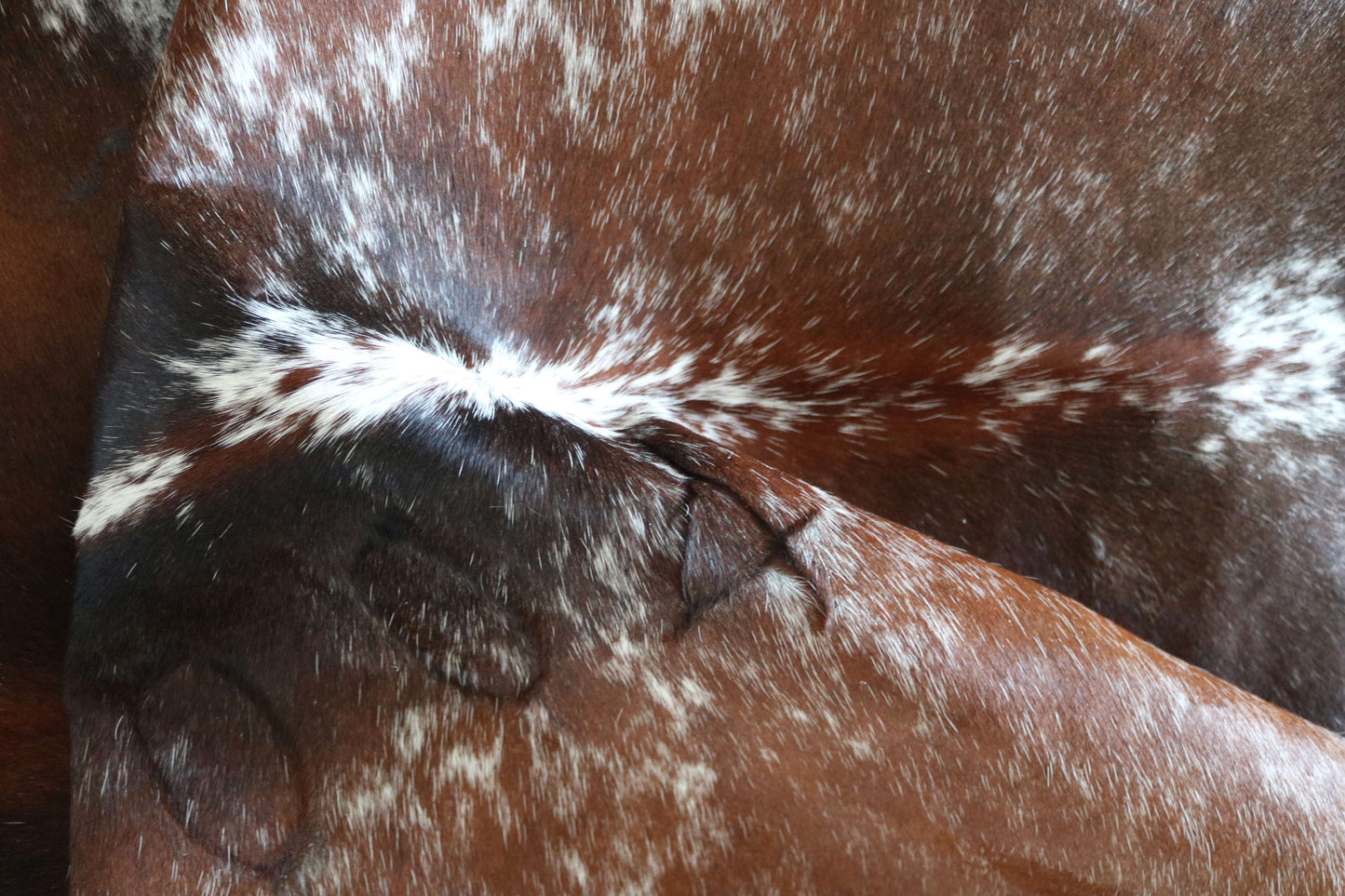 100278 -TRICOLOR  Cowhide Rug - Quebecuir Premium Collection