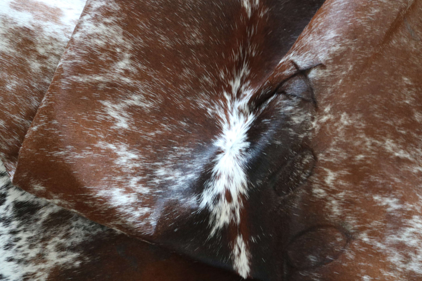 100278 -TRICOLOR  Cowhide Rug - Quebecuir Premium Collection