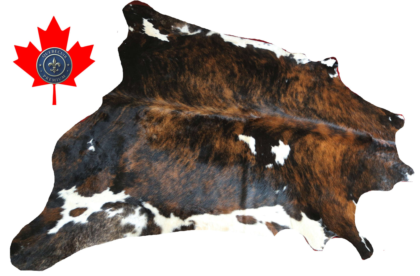 100279 -TRICOLOR  Cowhide Rug - Quebecuir Premium Collection