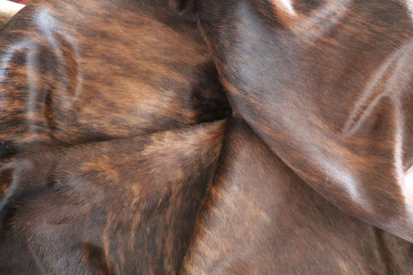 100280  BIG  SIZE XXXL   Cowhide Rug - Quebecuir Premium Collection