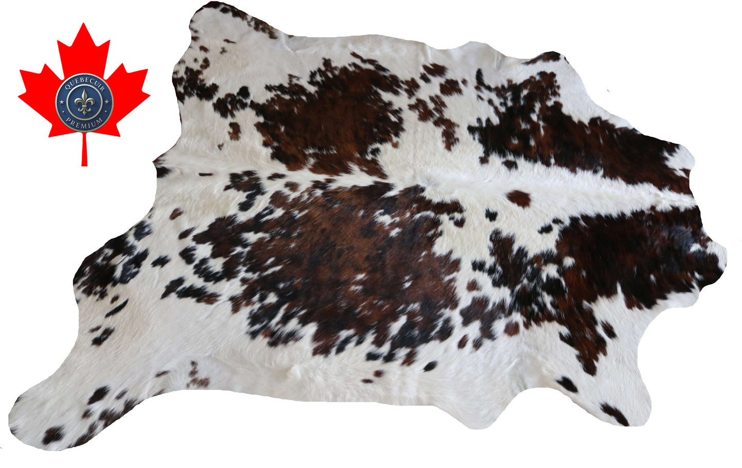 100281 -TRICOLOR  Cowhide Rug - Quebecuir Premium Collection
