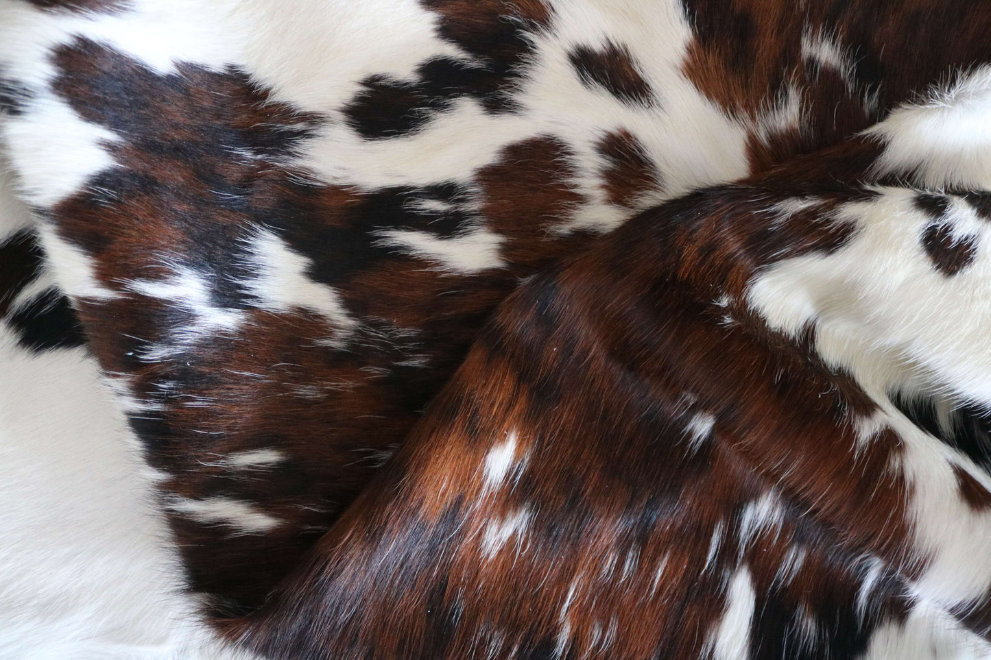 100281 -TRICOLOR  Cowhide Rug - Quebecuir Premium Collection