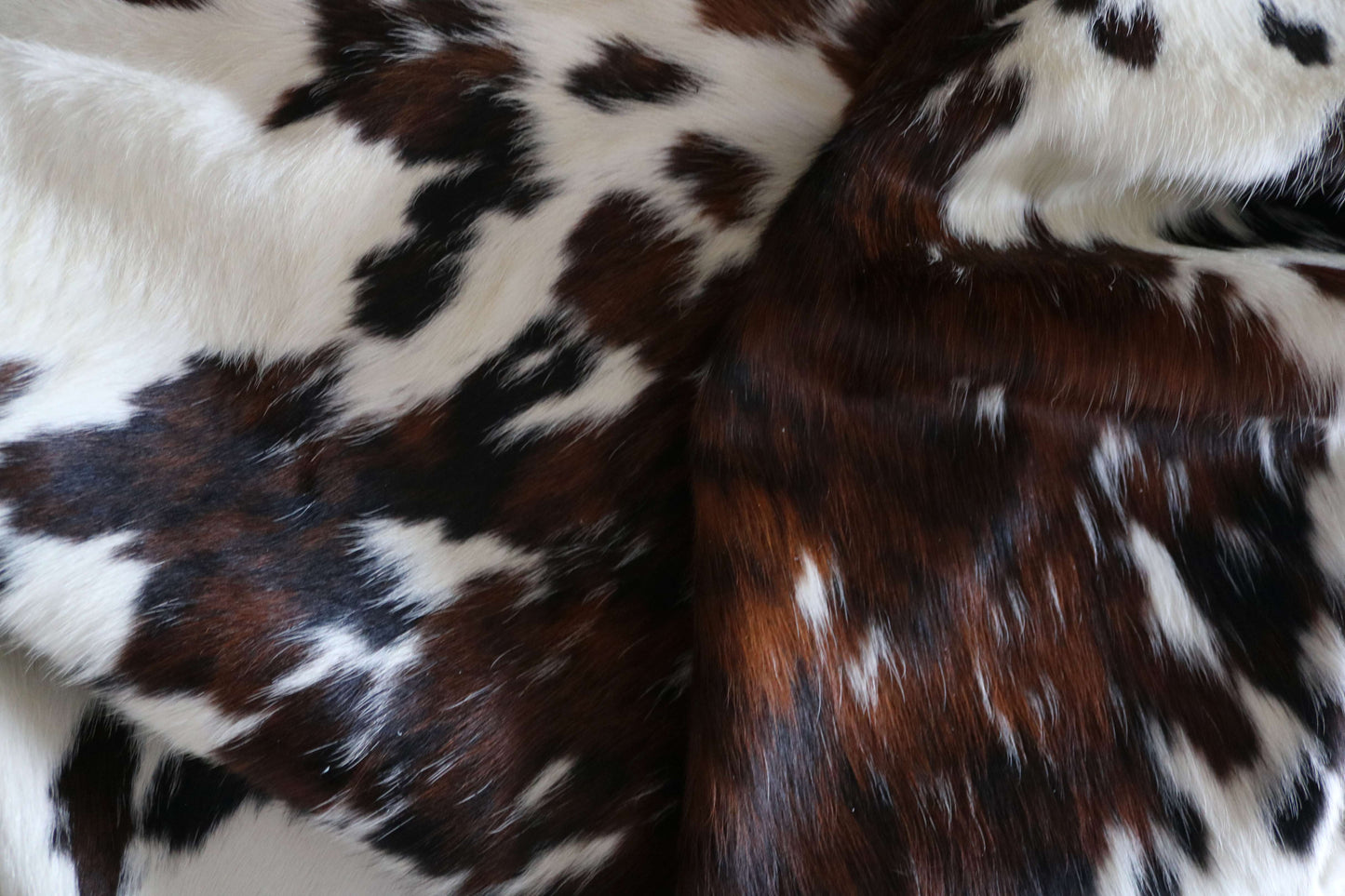100281 -TRICOLOR  Cowhide Rug - Quebecuir Premium Collection
