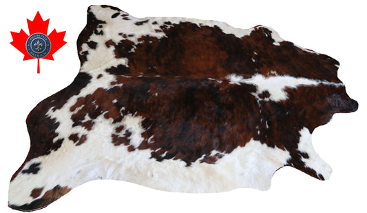 100282 -TRICOLOR  Cowhide Rug - Quebecuir Premium Collection