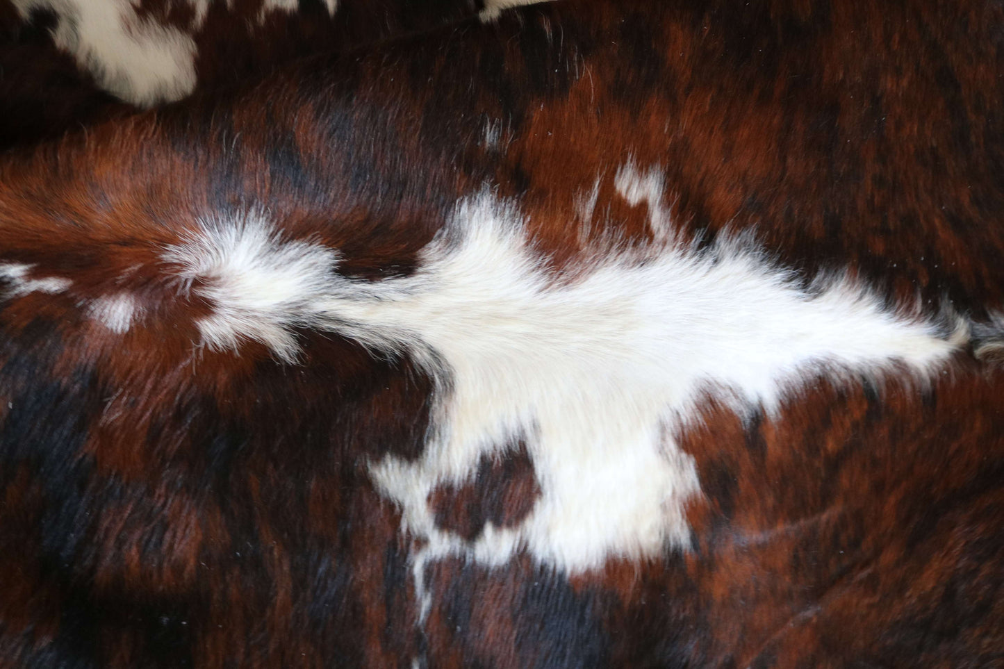 100282 -TRICOLOR  Cowhide Rug - Quebecuir Premium Collection