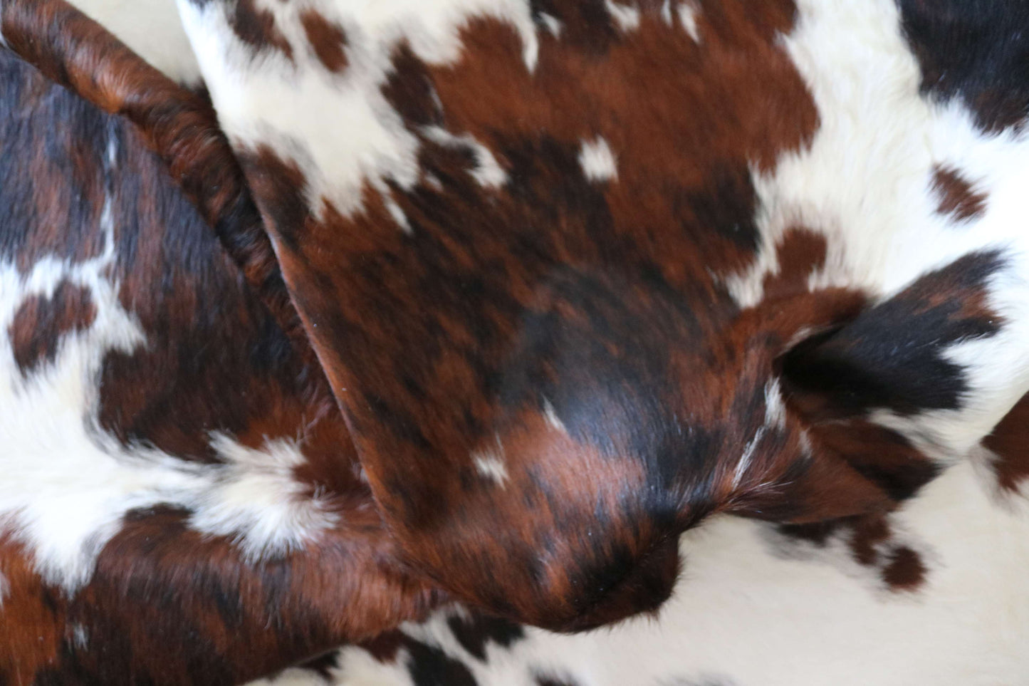 100282 -TRICOLOR  Cowhide Rug - Quebecuir Premium Collection