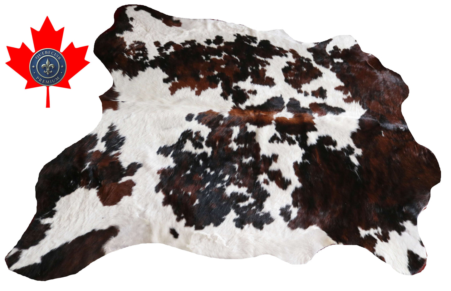 200640 -TRICOLOR  Cowhide Rug - Quebecuir Premium Collection
