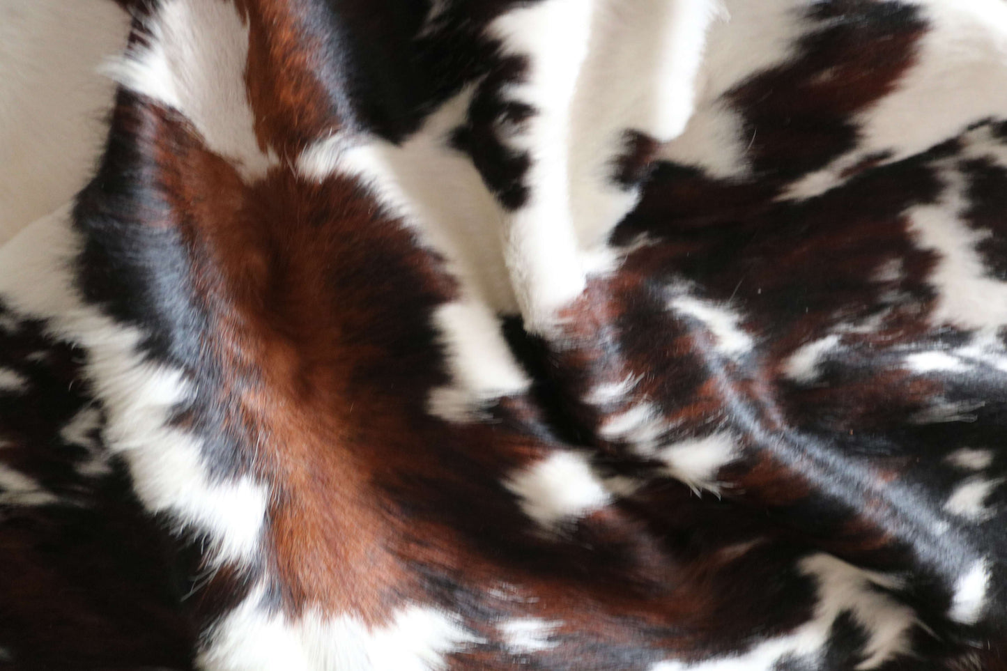 200640 -TRICOLOR  Cowhide Rug - Quebecuir Premium Collection