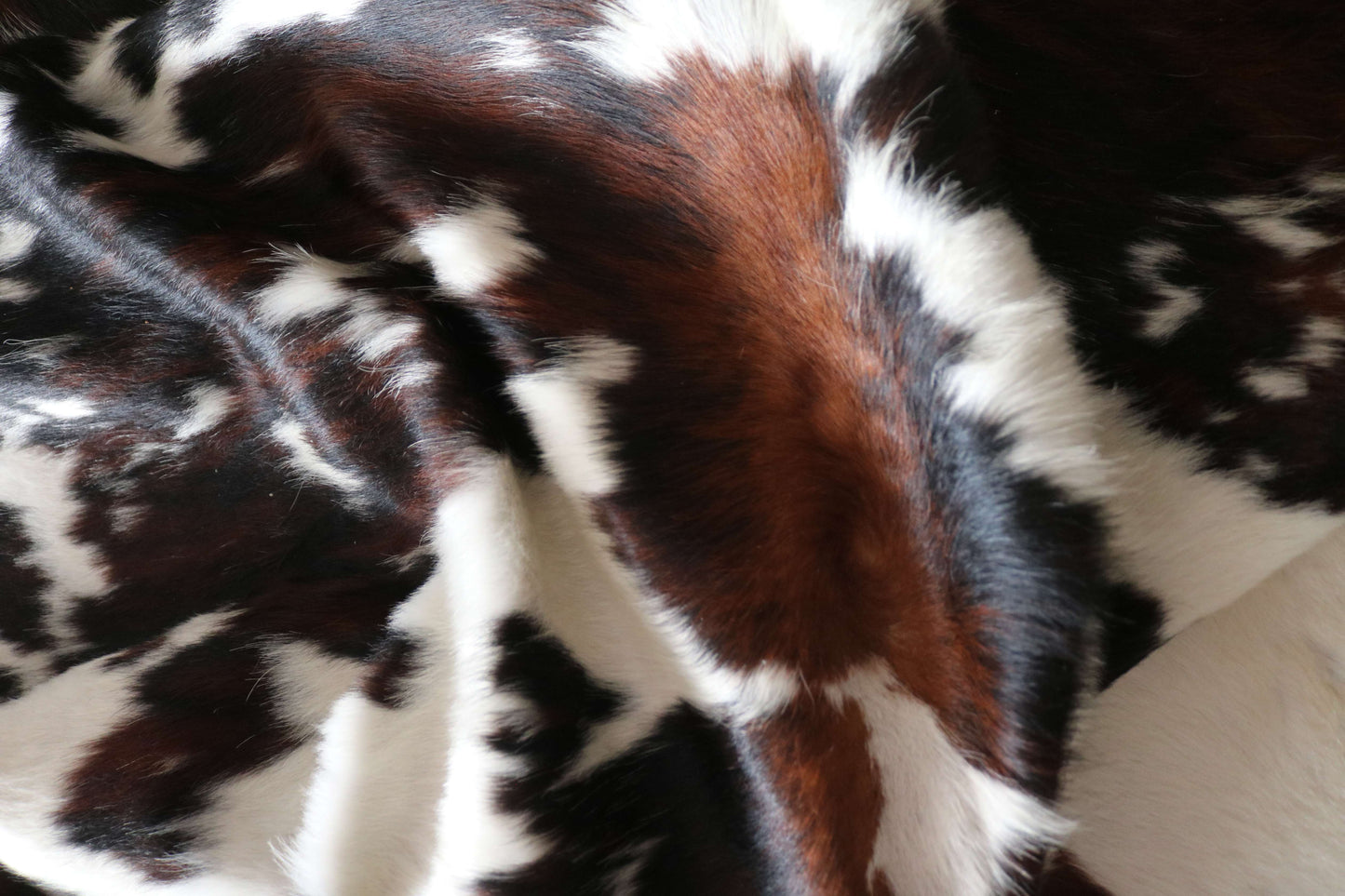 200640 -TRICOLOR  Cowhide Rug - Quebecuir Premium Collection