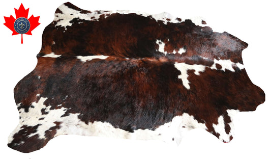 200641 -TRICOLOR  Cowhide Rug - Quebecuir Premium Collection