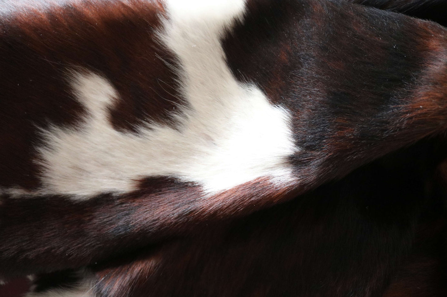 200641 -TRICOLOR  Cowhide Rug - Quebecuir Premium Collection