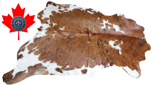 200642 -TRICOLOR  Cowhide Rug - Quebecuir Premium Collection