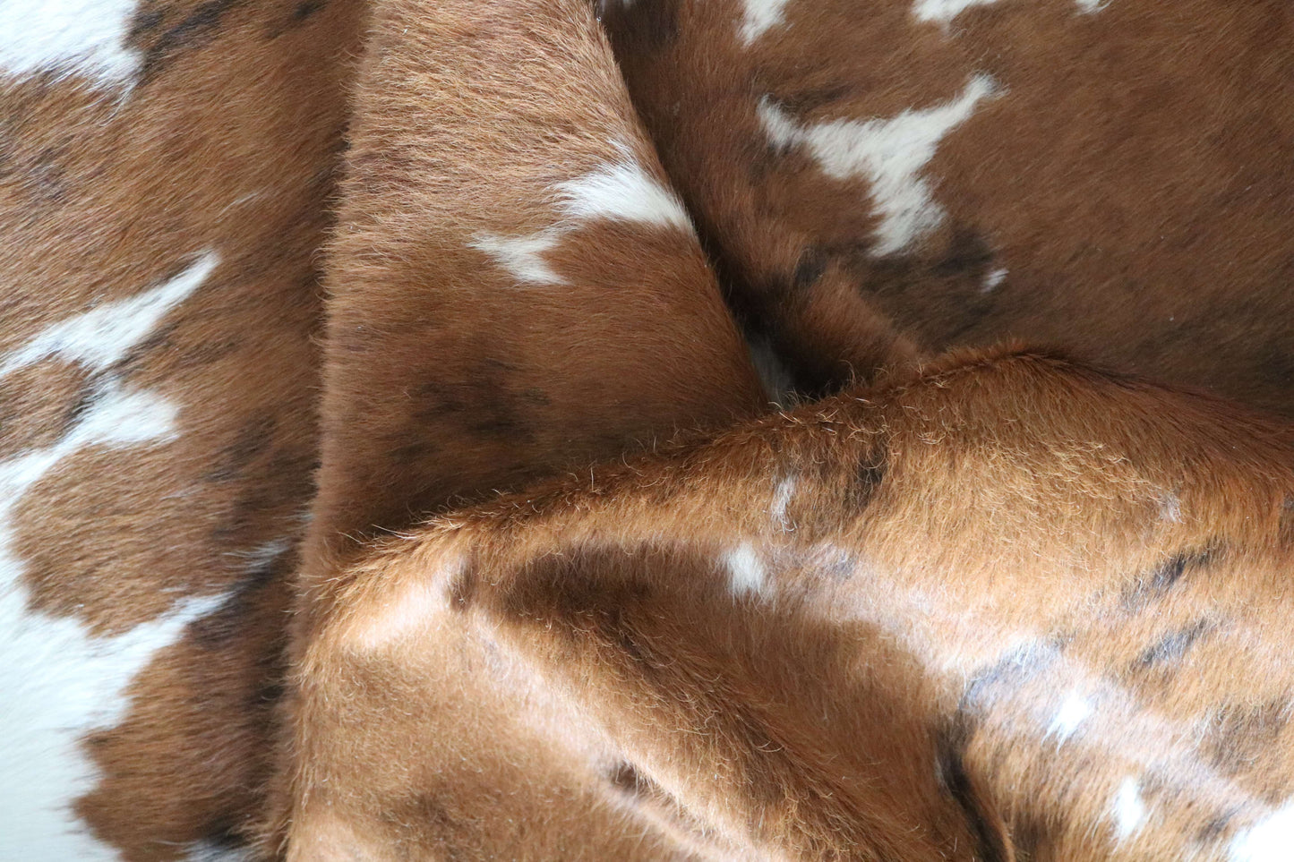 200642 -TRICOLOR  Cowhide Rug - Quebecuir Premium Collection