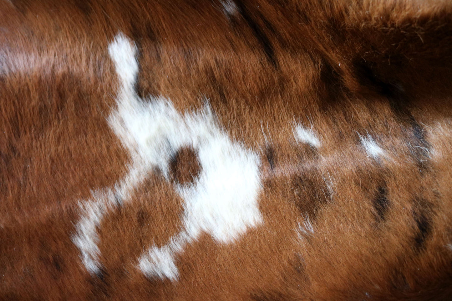 200642 -TRICOLOR  Cowhide Rug - Quebecuir Premium Collection