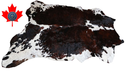 200643 -TRICOLOR  Cowhide Rug - Quebecuir Premium Collection