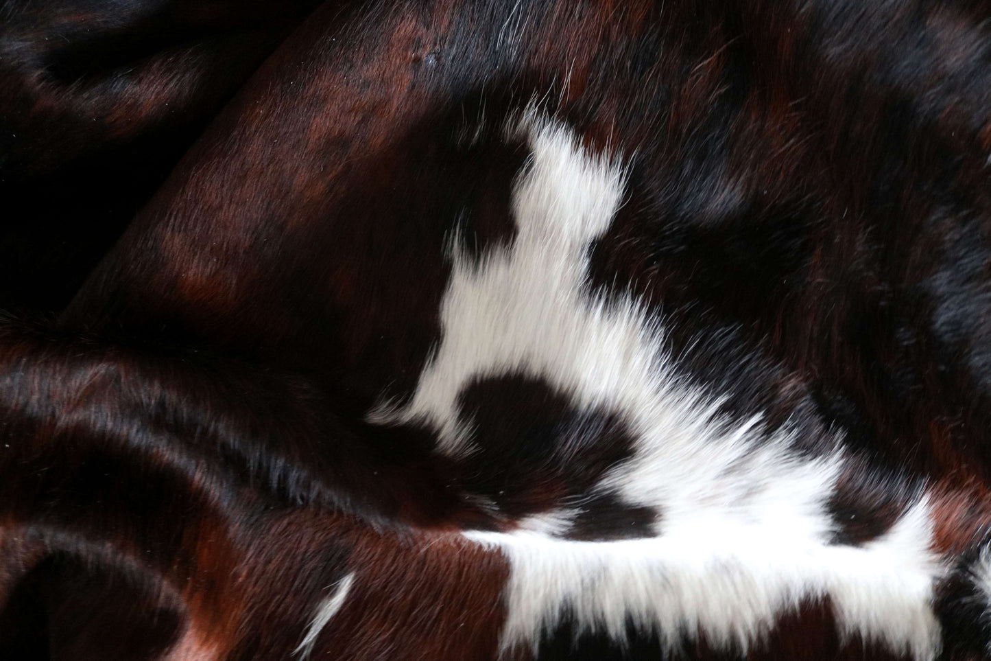 200643 -TRICOLOR  Cowhide Rug - Quebecuir Premium Collection
