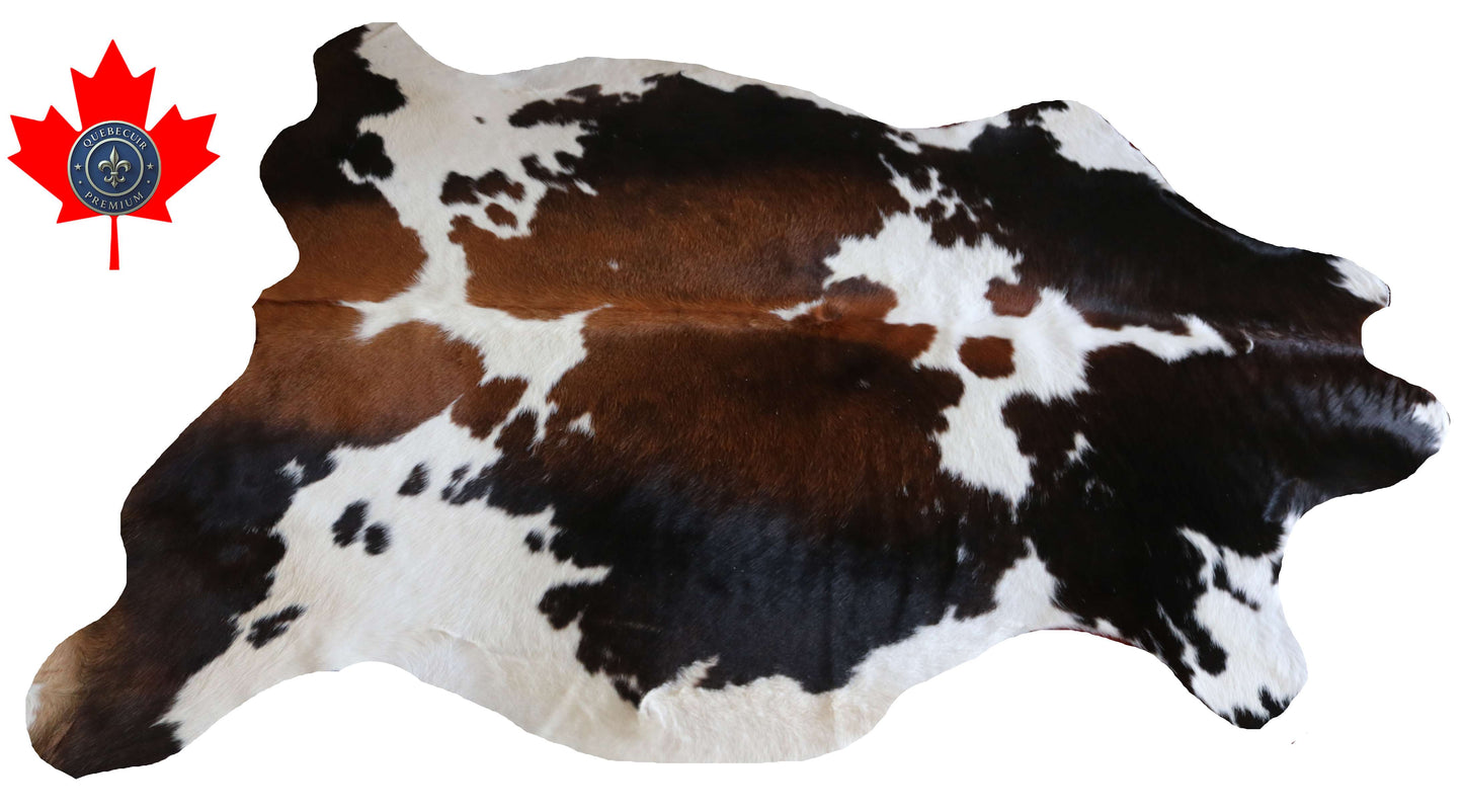 200644 -TRICOLOR  Cowhide Rug - Quebecuir Premium Collection