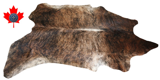 200057 - Cowhide Rug Tapis Peau de Vache SUPER BIG SIZE XXXL - Collection Quebecuir Premium