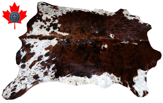 200645 -TRICOLOR  Cowhide Rug - Quebecuir Premium Collection