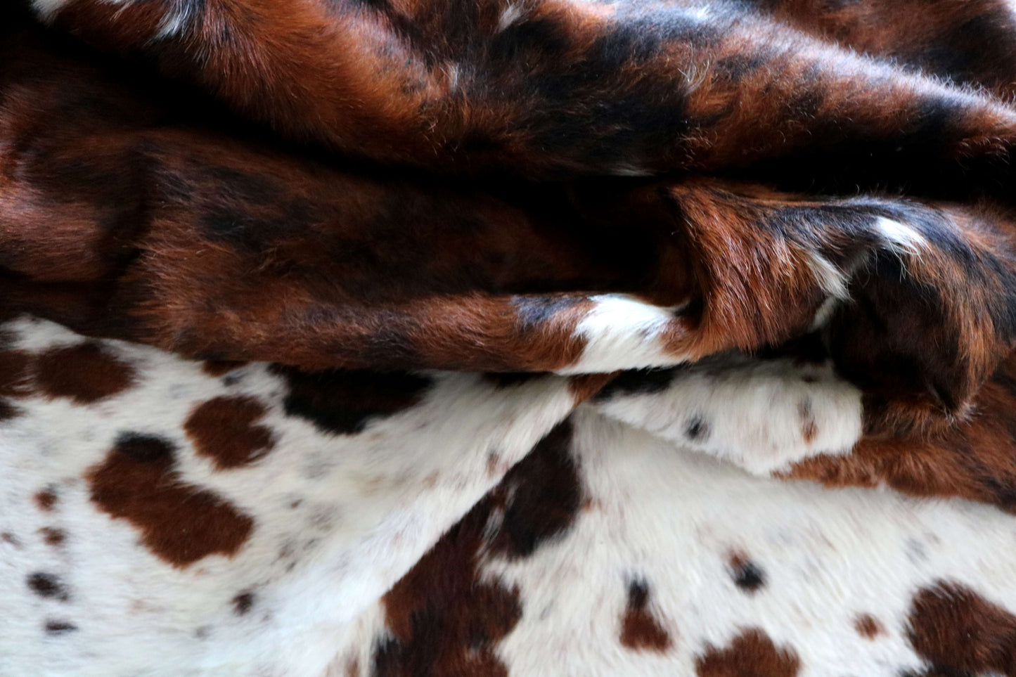 200645 -TRICOLOR  Cowhide Rug - Quebecuir Premium Collection