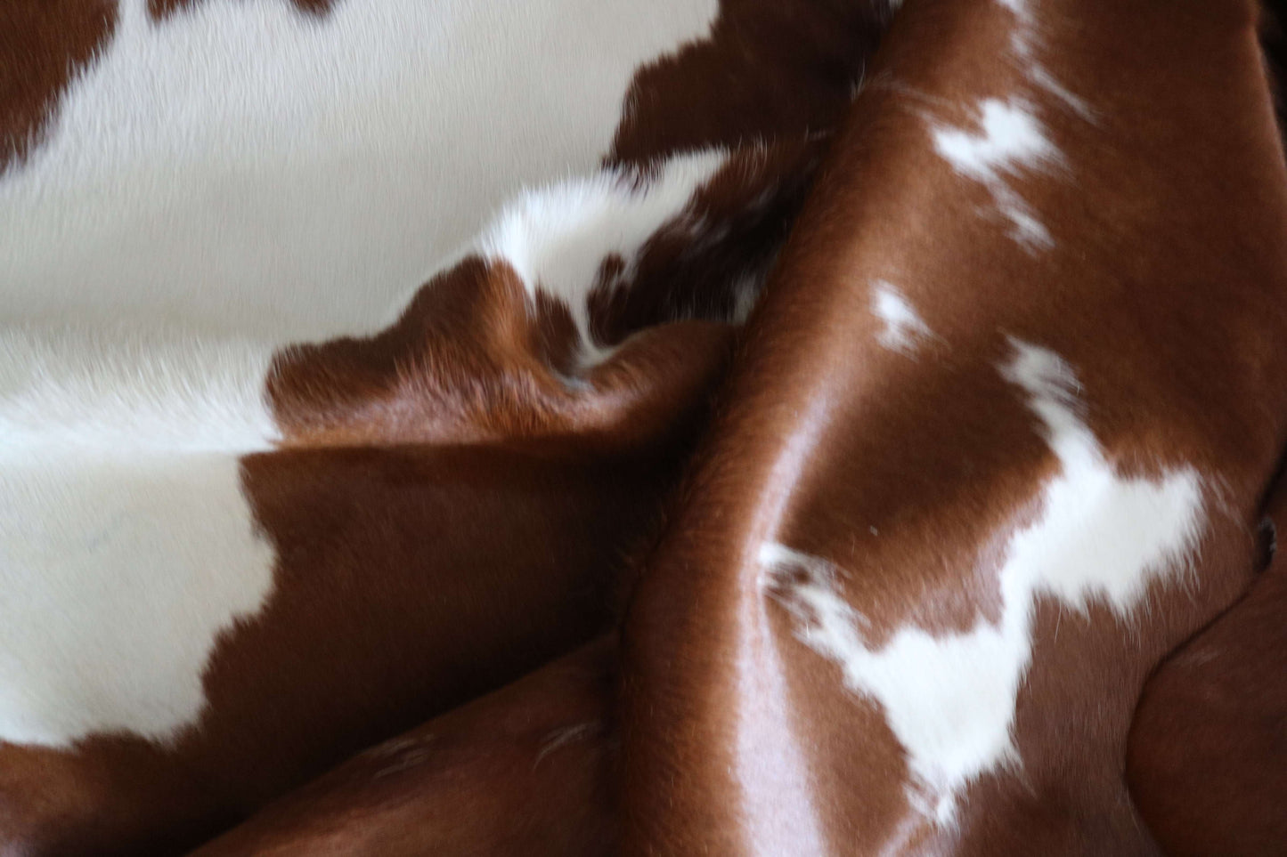 200647 -BROWN & WHITE Cowhide Rug - Quebecuir Premium Collection